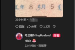 哈兰德回归社媒，揭秘断更三天背后的原因？
